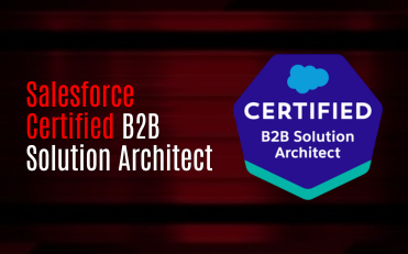 Salesforce Certified B2B Solution Architect