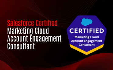 Salesforce Certified Marketing Cloud Account Engagement Consultant