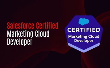 Salesforce Certified Marketing Cloud Engagement Developer