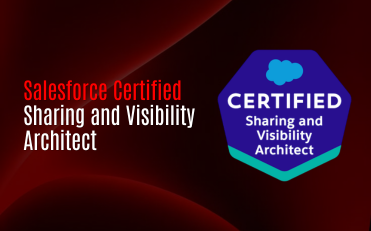 Salesforce Certified Sharing and Visibility Architect