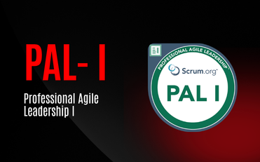 Professional Agile Leadership I (PAL I)