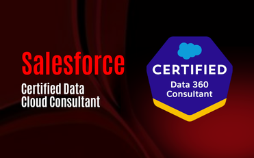 Salesforce Certified Data Cloud Consultant